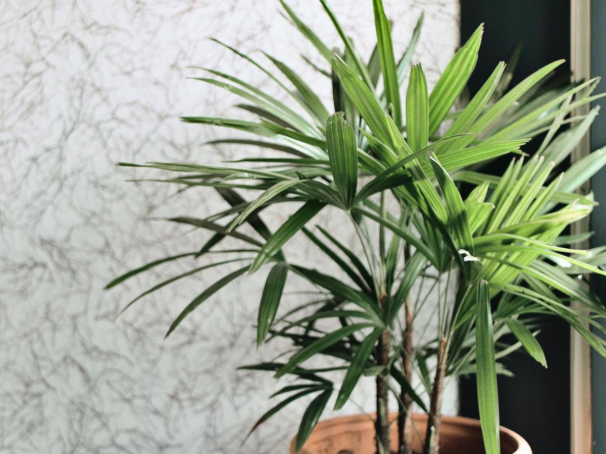 Hotel Eco Desaru Zewnętrze zdjęcie
